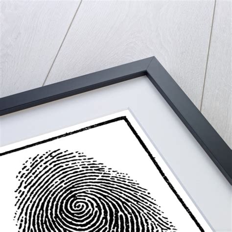 Fingerprints of identical twins posters & prints by Anonymous