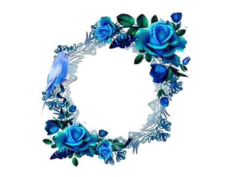 Floral Blue Frame PNG | PNG All