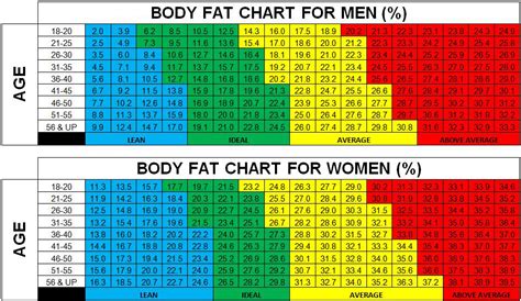 Beaucoup Fit Personal Training and Performance Enhancement: Let's call this one "FAT LOSS 101"