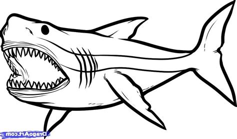 Great White Shark Drawing | Free download on ClipArtMag