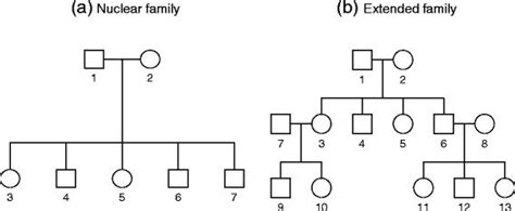 Nuclear Family Tree Template