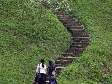 University of Peradeniya | Things to do in Kandy, Sri Lanka