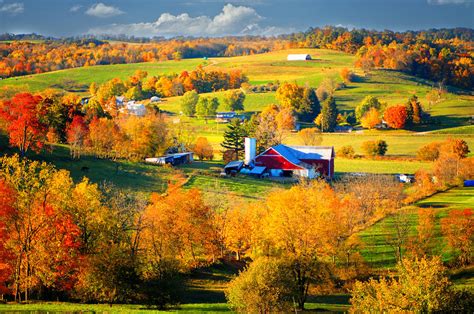 Ohio Amish Country Photograph by Mary Timman