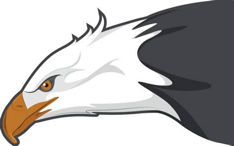 Eagle Side View Illustrations, Royalty-Free Vector Graphics & Clip Art ...