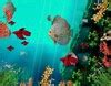 Coral Reef Aquarium 3D Animated Wallpaper 1.0 para Windows - Download