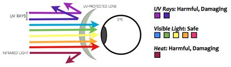 Is UV Protection in Sunglasses Important? | Sunglasses and Style Blog ...