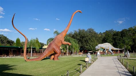 Dinosaur World in Plant City | Expedia