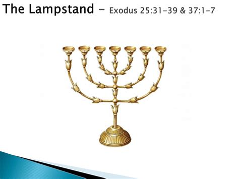 Lampstand Exodus 37 | Bruin Blog