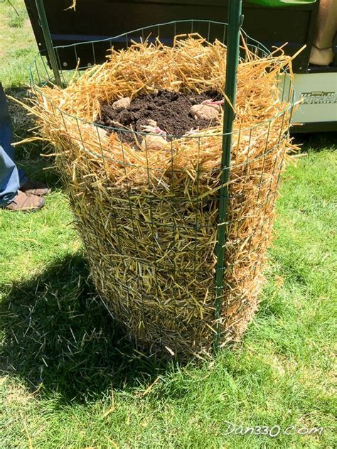 How To Build a Potato Tower | Strawbale gardening, Vegetable garden design, Potato gardening