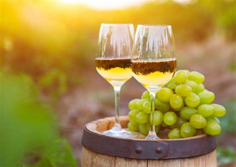 10 Best Italian White Wines - Best Italian Dry White Wines | IB