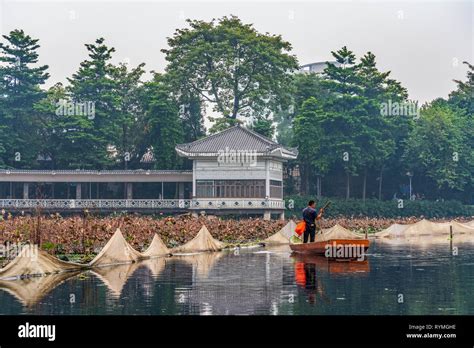 Guangzhou liwan lake park hi-res stock photography and images - Alamy