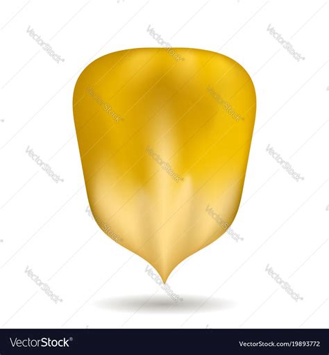 Ripe yellow corn seed isolated Royalty Free Vector Image