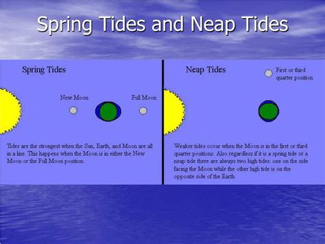 Diagram Of Spring And Neap Tides