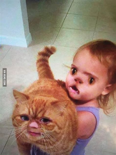 I love the cats face on this face swap! - 9GAG