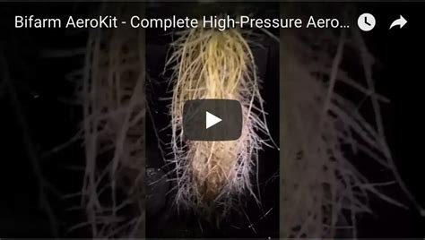 Bifarm AeroKit — Complete High-Pressure Aeroponics Kit (Video)