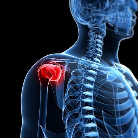 The Two Most Important Things to Know About the Shoulder - Una Vita ...