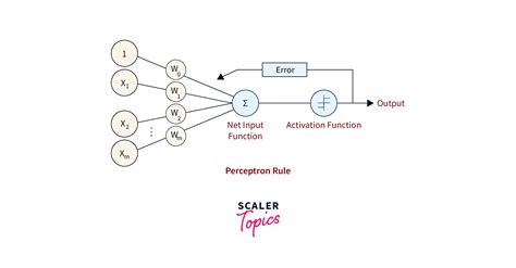 Perceptron Learning Algorithm