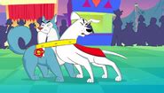 Tusky Husky | Krypto the Superdog Wiki | Fandom powered by Wikia