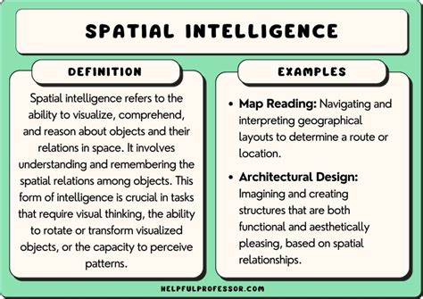 10 Spatial Intelligence Examples, Pros & Cons (2024)