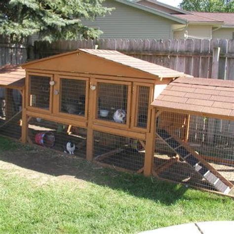 Benefits of an Outdoor Rabbit Hutch – lucullusrestaurante