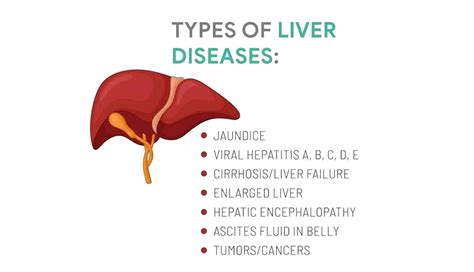 Liver Disease Treatment Market – Forecast (2023-2028)