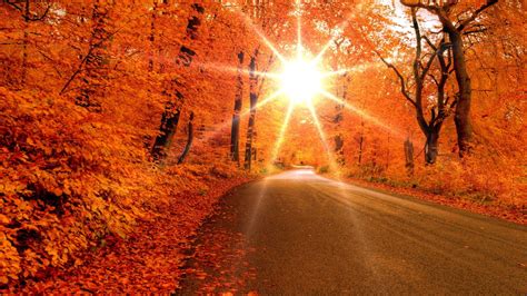 Autumn Sunrise Wallpapers - Top Free Autumn Sunrise Backgrounds - WallpaperAccess