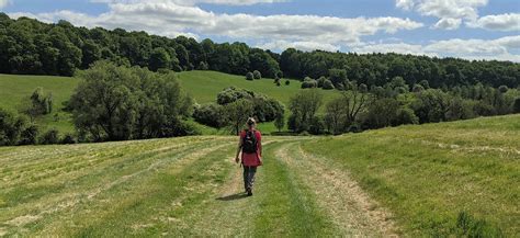 Cotswolds National Landscape - part 1 - hills near Berkeley » Berkness - Berkeley & Sharpness