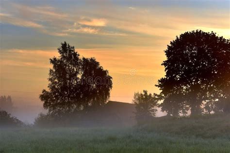 Misty Foggy Sunrise in Summer Near Forest Stock Image - Image of europe ...