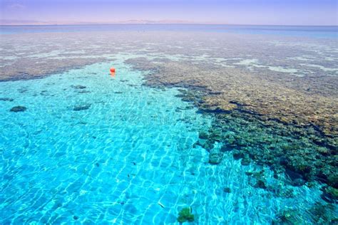 Coral Reef (2). Red Sea. Egypt. Stock Image - Image of outdoors, color ...