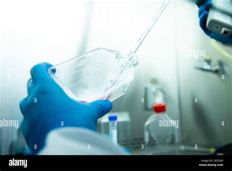 cell culture media Stock Photo - Alamy