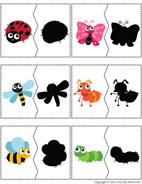 Insect Shadow Matching Puzzle - The Activity Mom