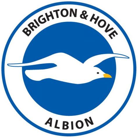 Brighton & Hove Albion FC (The Seagulls The Albion) | Fodbold Ground - England | Pinterest ...