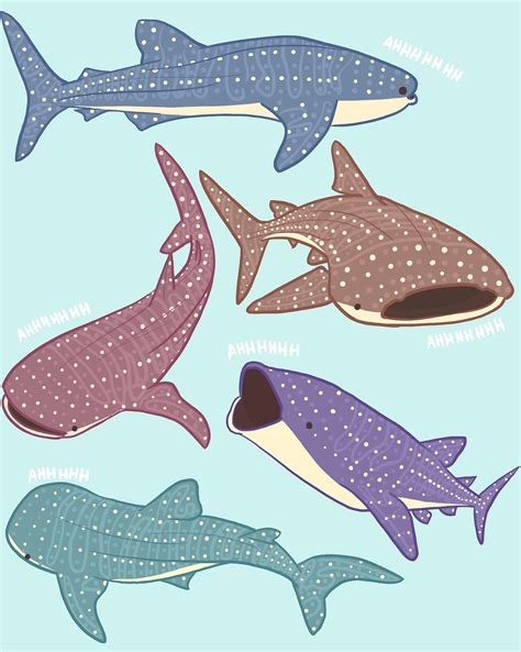 do you ever think about how whale sharks always look like they’re screaming | Shark illustration ...