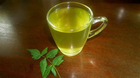 Neem Tea Recipe | Homemade Neem Leaves Tea Benefits | Healthy Neem Tea Recipe/ Immunity Booster ...