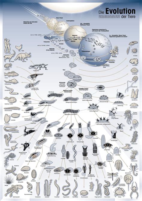 Antievolution legislation: Missouri and Kentucky attack science education