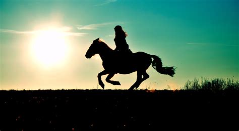 Free Images : silhouette, sun, sunset, meadow, jumping, stallion, reiter, gallop, horse like ...