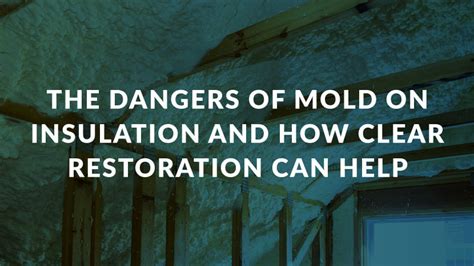 The Dangers of Mold on Insulation and How CLEAR Restoration Can Help