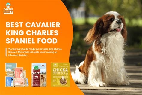 10 Best Dog Food For Cavalier King Charles Spaniels 2023 [For Every ...