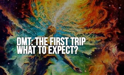 DMT: The First Trip – What to Expect? | EndoRiot