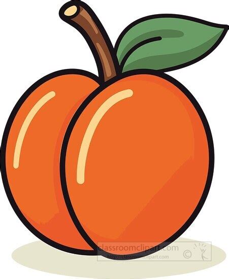 Fruit Clipart-apricot with leaf and stem clip art