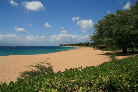 Beach at our Hotel Royal Lahaina Resort Royal Lahaina Resort, Kahului Airport, Old Lahaina Luau ...