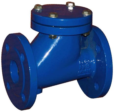 Ball Type Check Valve, Industrial Check Valves, चेक वाल्व in Karve Nagar, Pune , Pranav ...