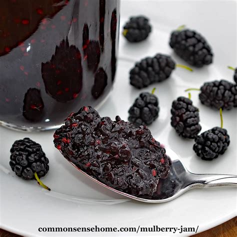 Mulberry Jam Recipe - Use Fresh or Frozen Berries