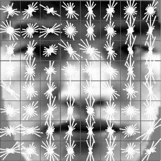 HOG algorithm applied facial image | Download Scientific Diagram