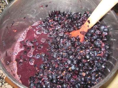 Home Made Grape Wine | Grape wine recipe, Homemade wine recipes, Wine recipes