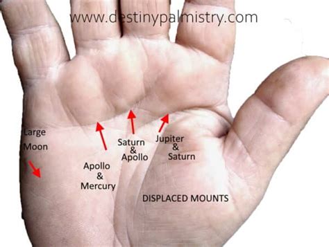 Venus Mount on the Palm Reveals Your Power - Destiny Palmistry Home