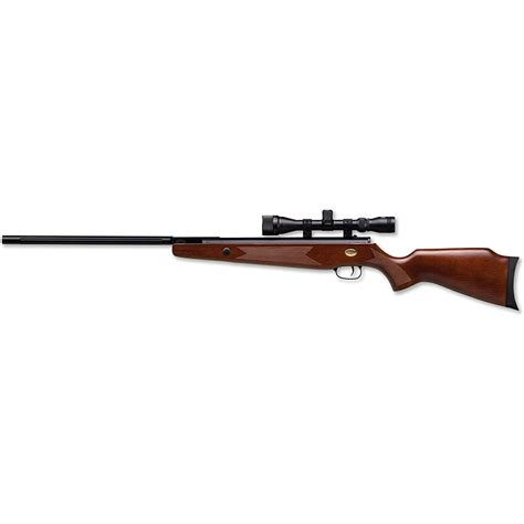 Beeman Elkhorn .22 Air Rifle with 3-9x32mm AO Scope - Walmart.com - Walmart.com