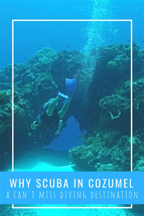 Cozumel SCUBA Diving: Why This Is a Can't Miss Destination