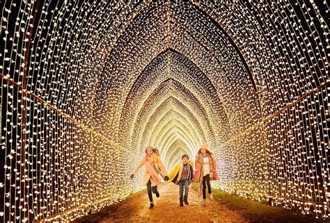 Houston Botanic Garden’s Lightscape Trail to Feature Fire, Neon, Giant Flowers & More