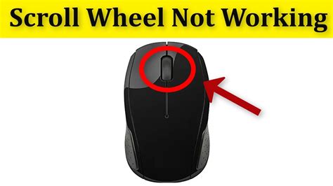 Gyümölcsöző Kritikai Irányzat how to fix scroll wheel on wireless mouse minden jót Tropikus Tíz év